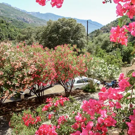 Cabannaccia-1 By Interhome * Serriera (Corsica)