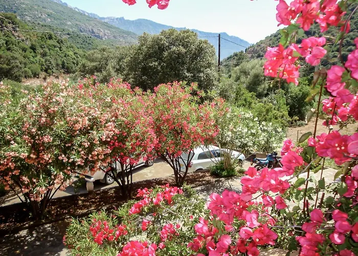 Cabanaccia 3 Pieces 4 Pers By Interhome * Serriera (Corsica)